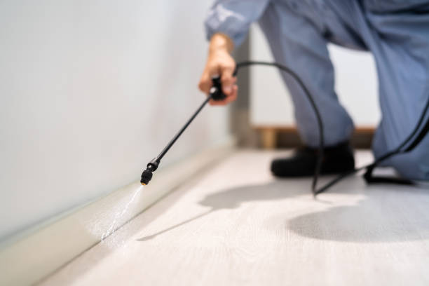 Certified termite inspector examining foundation in Great Notch