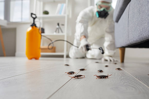 Commercial Rodent Management in Great Notch